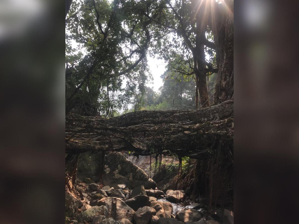 Living Roots Lodge Cherrapunji Buitenkant foto