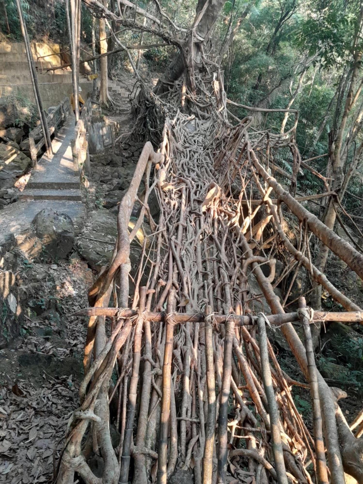 Living Roots Lodge Cherrapunji Buitenkant foto