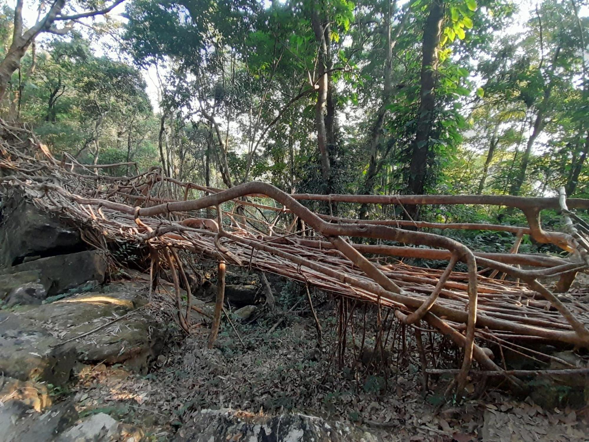 Living Roots Lodge Cherrapunji Buitenkant foto